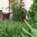 Rozmaring Apartmanhaz Mórahalom