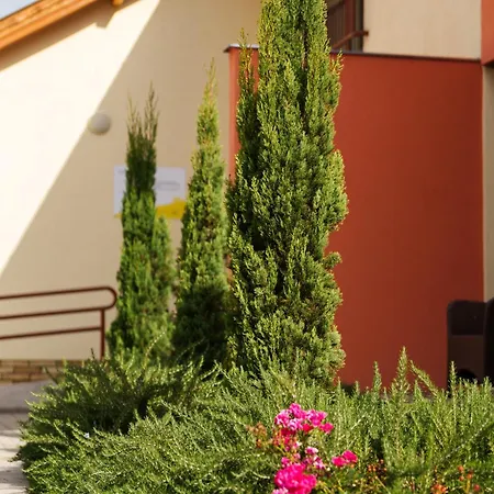 Apartamento Rozmaring *